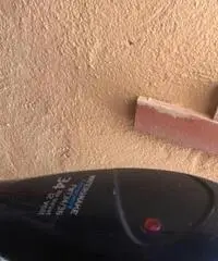 Motore Marino elettrico