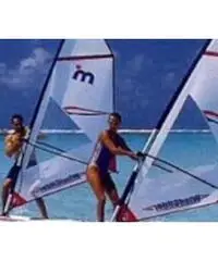 Windglider wind surf tavola vela barca mistral