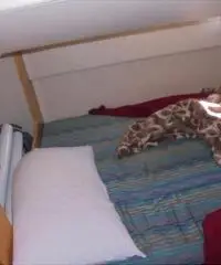 Fairline 33 targa natante diesel volvo kad42