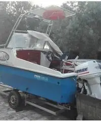 Barca semicabinata m. 5 evinrude 115 hp