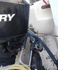 Barca motore carello omologato