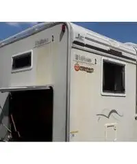 Kentucky estro 2 Kentucky estro 2