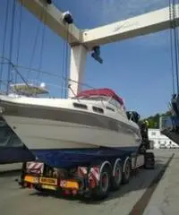 Cabinato sealine 290 ambassador