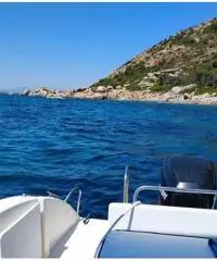 Barca a motore Barca a motore
