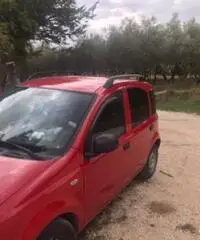 Fiat panda Fiat panda