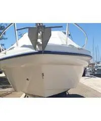 Ranieri 22 shadow w.a. motore evinrude etec 225 cv