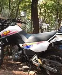 Xt 600 3tb 1995 euro 900 Xt 600 3tb 1995 euro 900
