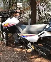 Xt 600 3tb 1995 euro 900 Xt 600 3tb 1995 euro 900