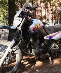 Xt 600 3tb 1995 euro 900 Xt 600 3tb 1995 euro 900