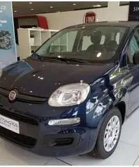 FIAT Panda EASY 1.0 HYBRID 70 CV FIAT Panda EASY 1.0 HYBRID 70 CV