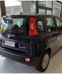FIAT Panda EASY 1.0 HYBRID 70 CV FIAT Panda EASY 1.0 HYBRID 70 CV