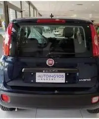 FIAT Panda EASY 1.0 HYBRID 70 CV FIAT Panda EASY 1.0 HYBRID 70 CV