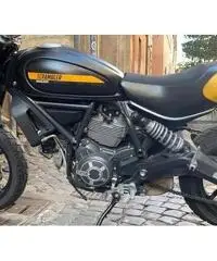 Ducati scrambler 800