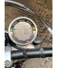 Ducati scrambler 800