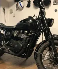 Triumph Bonnevile TR6SC '64 Special Scrambler 2009 Triumph Bonnevile TR6SC '64 Special Scrambler 2009
