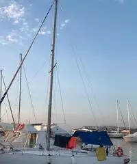 Barca vela 10 mt natante