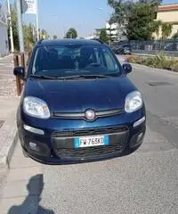 Panda Panda