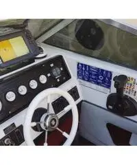 Wellcraft 7 metri 200 cv Wellcraft 7 metri 200 cv