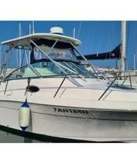 Barca Robalo R265 in perfette condizioni Barca Robalo R265 in perfette condizioni