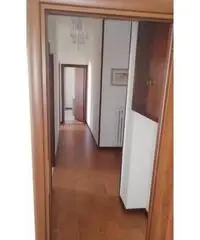 Trilocale arredato mobili nuovi