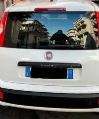 FIAT Panda 1.3 MJT 80 CV S&S Pop FIAT Panda 1.3 MJT 80 CV S&S Pop