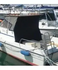 Barca a motore da pesca Teknocraft TK25 Barca a motore da pesca Teknocraft TK25