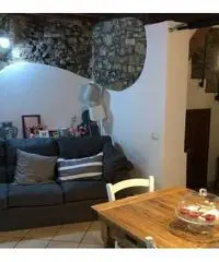 Appartamento a Castagneto Carducci, 3 locali Appartamento a Castagneto Carducci, 3 locali