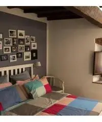 Appartamento a Castagneto Carducci, 3 locali Appartamento a Castagneto Carducci, 3 locali