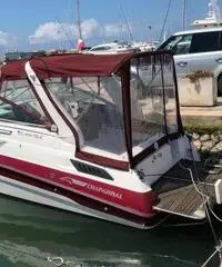 Chaparral 240 mcm 5.0 mpi benzina Chaparral 240 mcm 5.0 mpi benzina