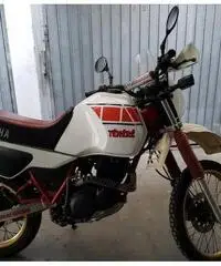 Yamaha XT 600 Z Tenerè - 1984 Yamaha XT 600 Z Tenerè - 1984