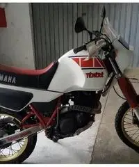 Yamaha XT 600 Z Tenerè - 1984 Yamaha XT 600 Z Tenerè - 1984