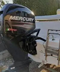 Barca open 540 con mercury pro Barca open 540 con mercury pro