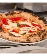 Pizzaiolo Pizzaiolo
