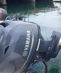 Saver fish 540 Saver fish 540