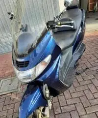 Suzuki Burgman 400 - 2001 Suzuki Burgman 400 - 2001