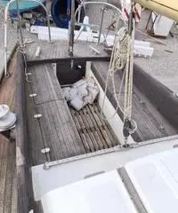 Panda 29 Panda 29
