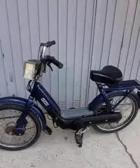 Piaggio Ciao - 1981 Piaggio Ciao - 1981