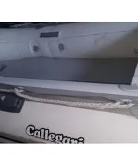 Tender callegari 220 lux Tender callegari 220 lux