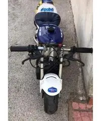 Minimoto polini