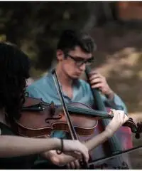 Violinista professionista a Pavia per musica matrimonio Violinista professionista a Pavia per musica matrimonio