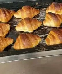 Panettiere Panettiere