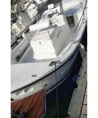 Gozzo Calafuria 6 Gozzo Calafuria 6