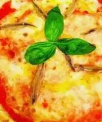 Pizzaiolo Pizzaiolo
