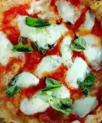 Pizzaiolo Pizzaiolo
