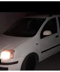 FIAT Panda 2ª serie - 2005 FIAT Panda 2ª serie - 2005