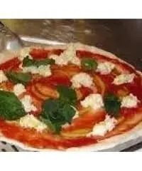 Pizzaiolo Pizzaiolo