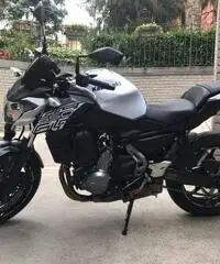 Kawasaki Z 650 - 2019 Kawasaki Z 650 - 2019