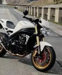 Triumph Speed Triple - 2006 Triumph Speed Triple - 2006