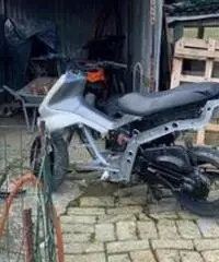 Scootercross Piaggio Scootercross Piaggio