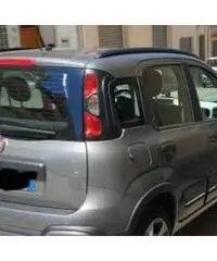 Panda cross Panda cross